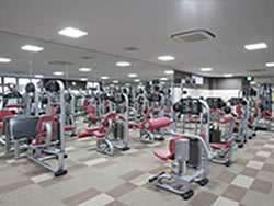 フィットネスクラブ型